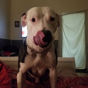 Meet your Posher, Mattie